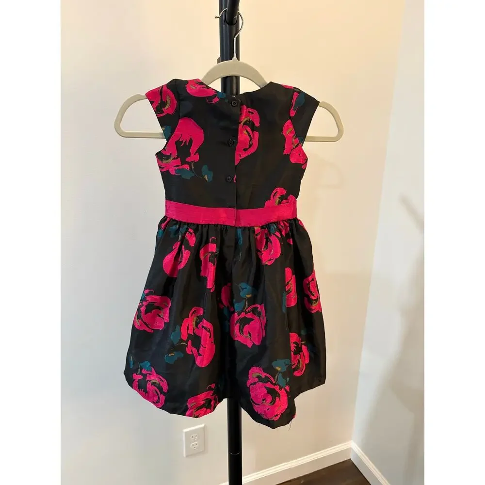 Gymboree Fun and Fancy Pink Rose Dress
